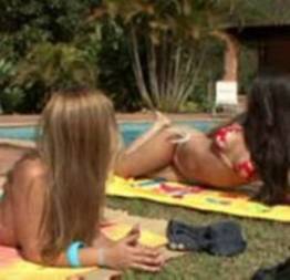 Veja o que essas duas gatas vão fazer
