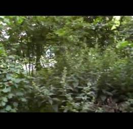 Gozou na cara de uma estranha q tava andando de bobeira no parque