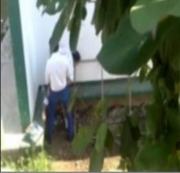 Aluna novinha dando pro professor atras da escola dela |novinha nua |