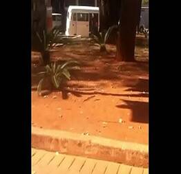 Sexo Na Praça 15 De Novembro Em Americana-SP Filmado Por Bisqui Lente Nervosa | Sexo Da Rua |sexo Na Rua